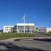 wintteri