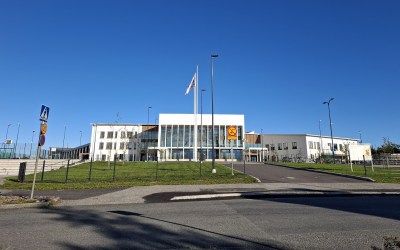 wintteri